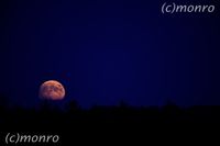 Mond und STerne_MOR014