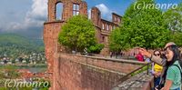 Heidelberg_MOR0006